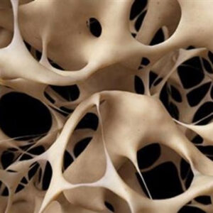 تولید داربست مهندسی بافت استخوان